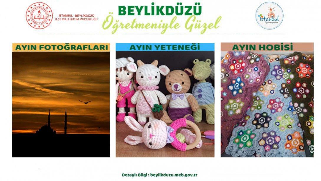Öğretmeniyle Güzel İstanbul Projesi Nisan Ayının Seçilenleri 